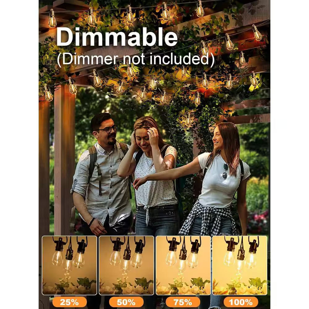 E12 Dimmable 17-Light 50 Ft. Indoor/Outdoor Plug-In LED Edison String-Light Wate