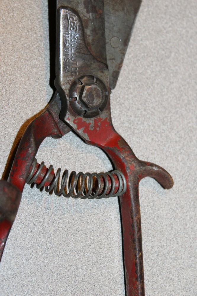 Vintage Colcut Co. CCC Reading, PA Pruning Shears