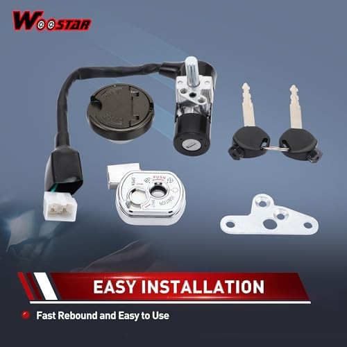 4 Wire Ignition Key Switch Assembly Replacement for Zuma 50cc 125cc 150cc