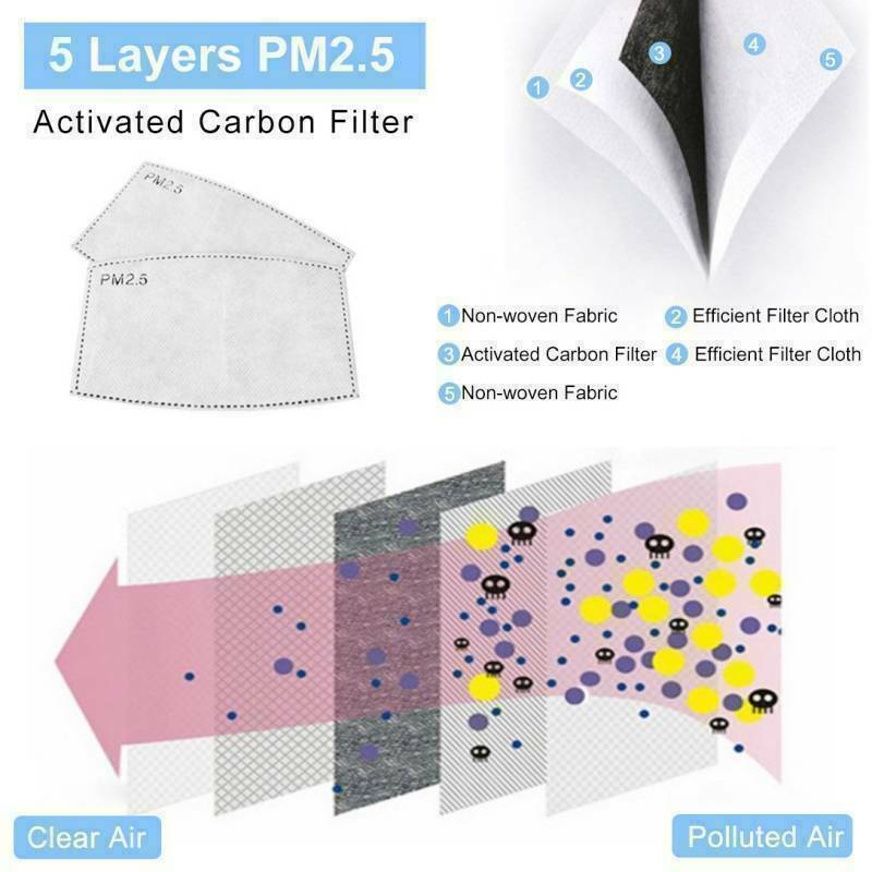 Face Mask with PM2.5 Filters