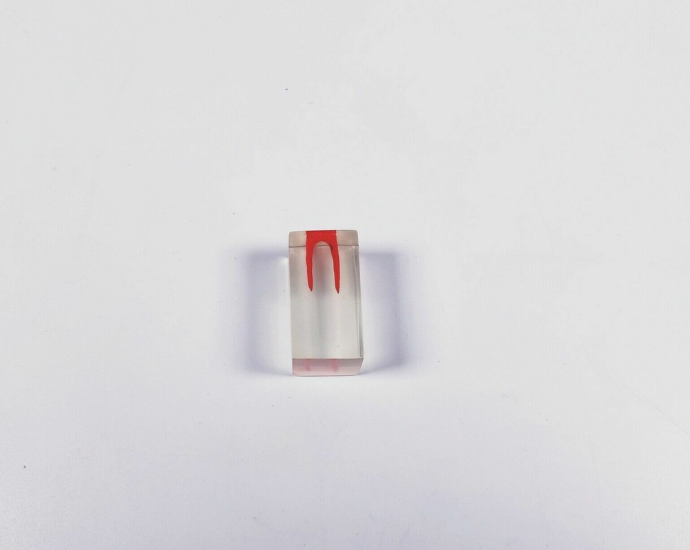 Dental Module Model Pulp Practise Root Canal Dentist Study Endo Training Tubes