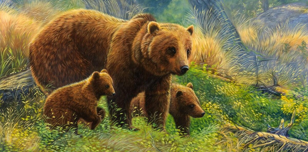 Ceramic Backsplash Tile Mural Bear Wildlife Kitchen/Bathroom - Young Explorers