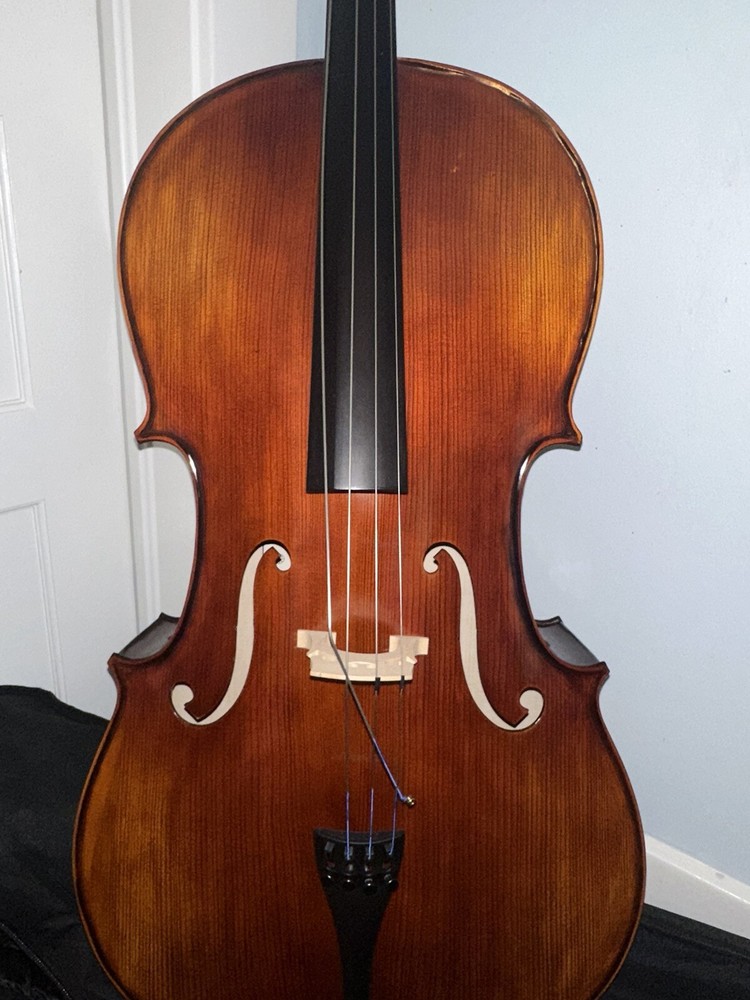 Cello 4/4 Florence IV, with Bow, Case, And Strap (C String Loose)