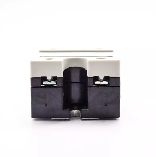 NEW For CARLO GAVAZZ Solid State Relay RS1A40D25E 25A