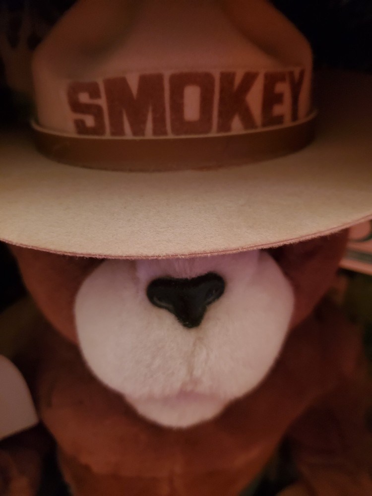 Smokey the Bear Vintage
