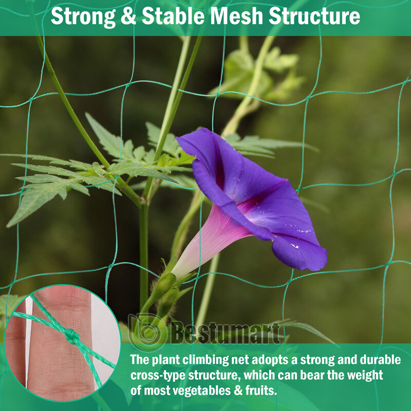 Garden Plant Climbing Net Trellis Netting Mesh Support Fruits Vine Veggie Bean