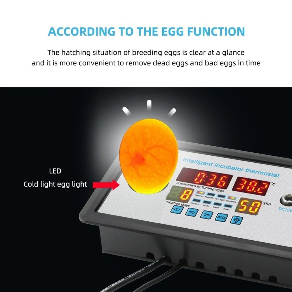 Digital Temperature Humidity Egg Incubator Controller Automatic Thermostat Egg