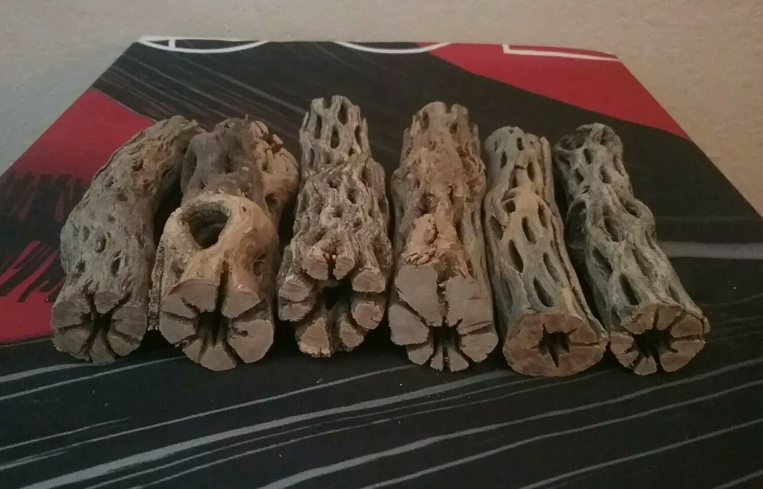 5 THICK pieces of 6" inch CHOLLA Wood Cactus | Fish, Shrimp Aquarium | Crafts!