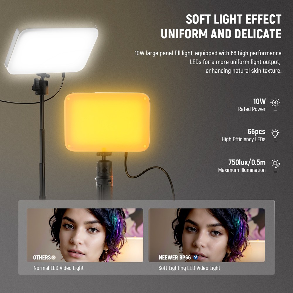 NEEWER Basics BP66D 2-Pack LED Panel Kit w/Stands for Streaming
