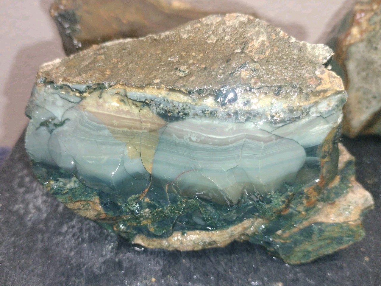 7.3LB ORBS Blue Mountain Picture  Jasper Rough 6pc Lot #26