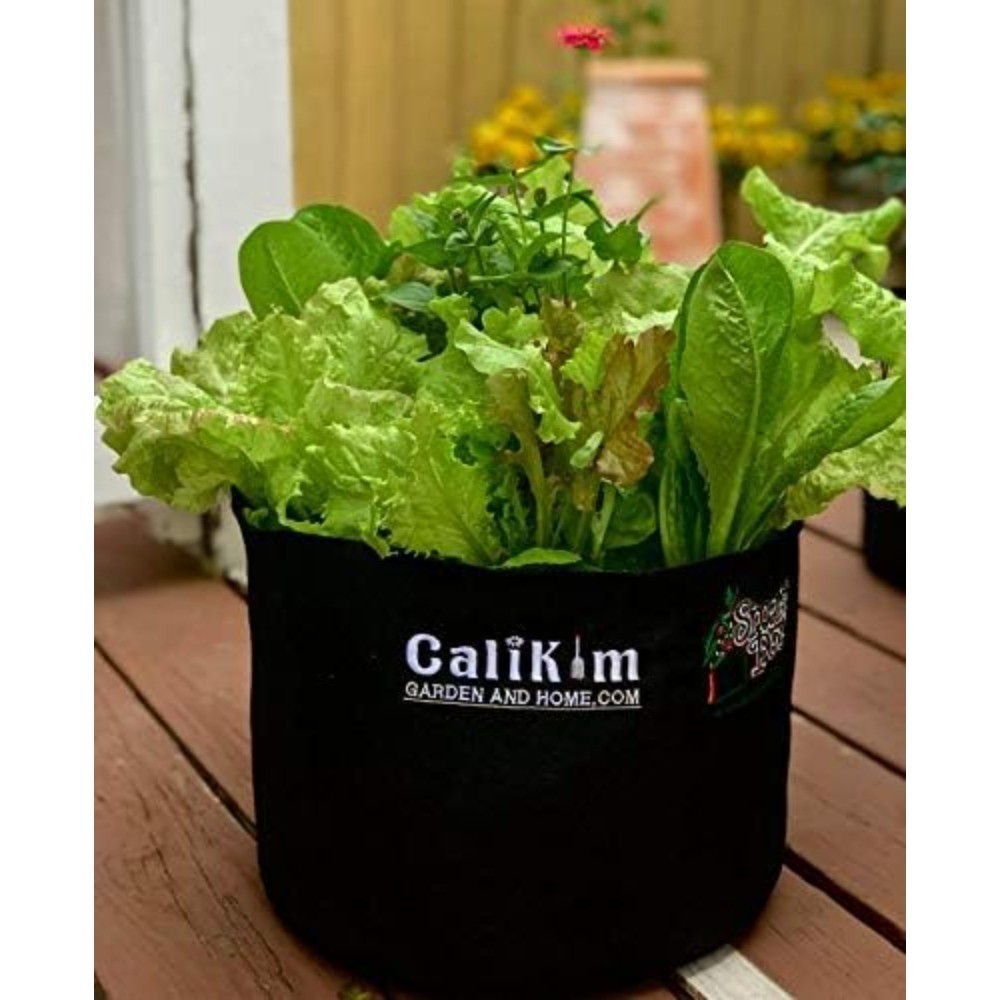 NEW,1-Gallon Smart Pot Soft-Sided Container, Black