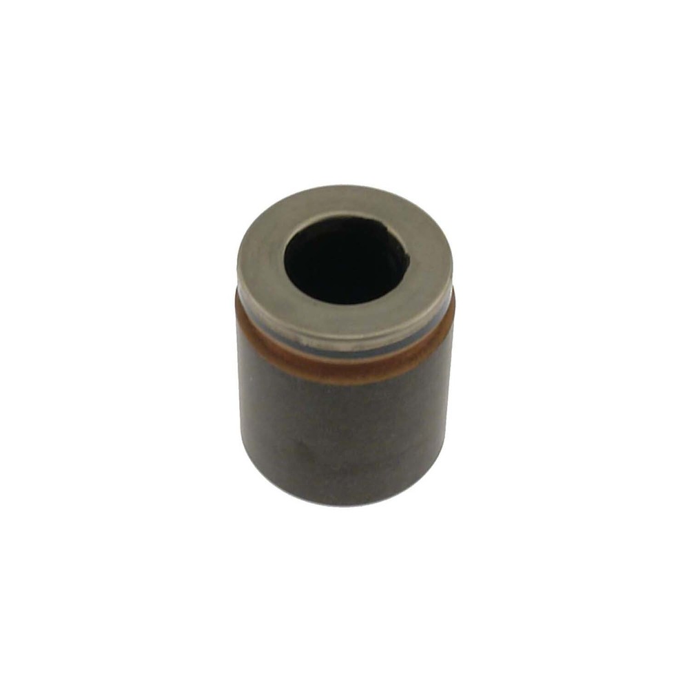 Disc Brake Caliper Piston-RWD Carlson 7854