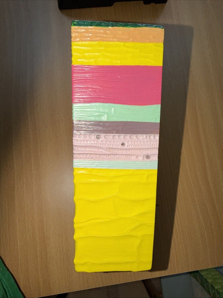 Bobbitt Dicot Plant Stem Model