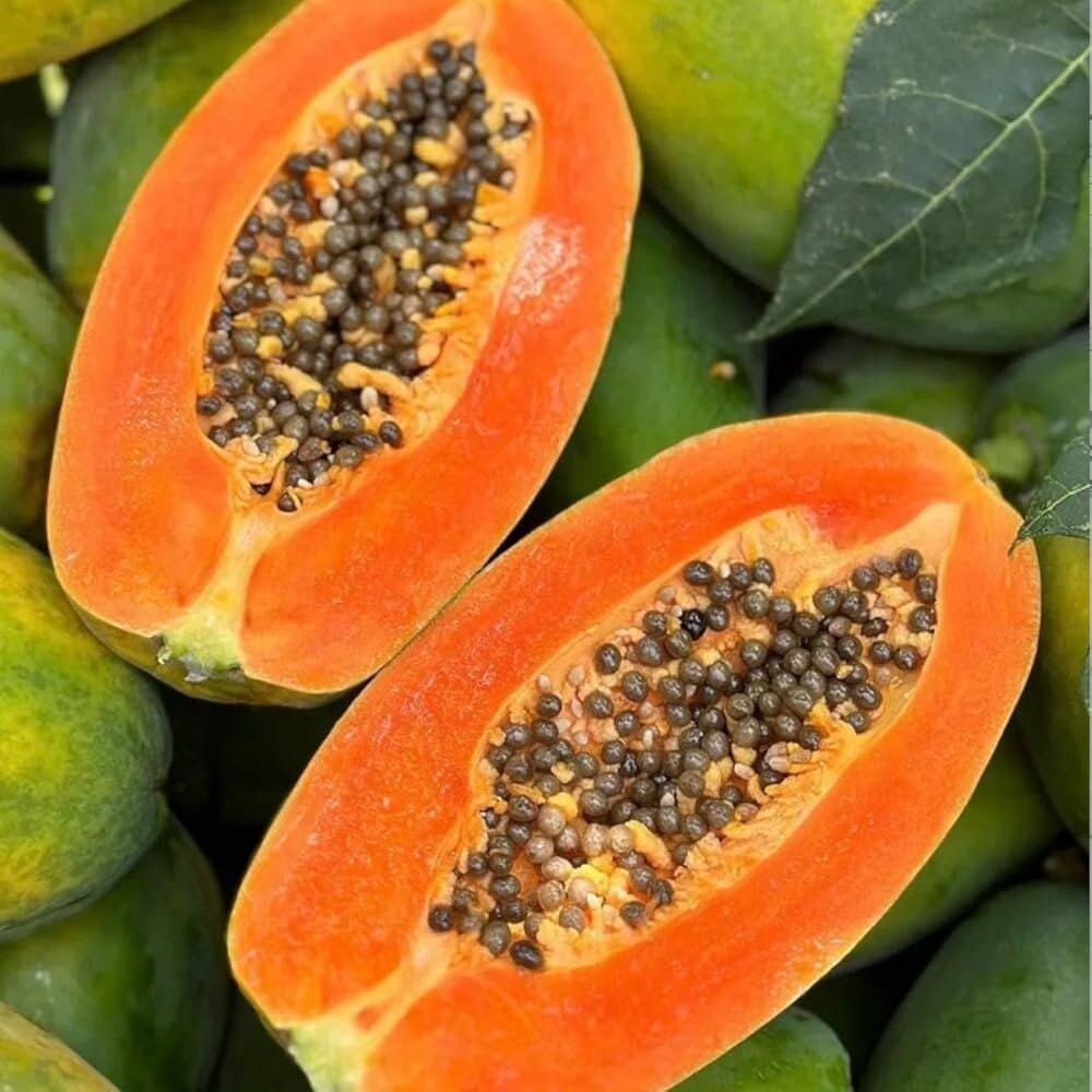 FirstChoiceCandy Dried Tropical Fruit (Papaya Spears )