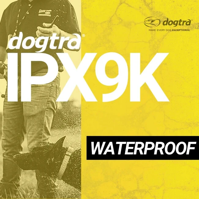 Dogtra T&B RX Green - 1.5 Miles - Additional Collar