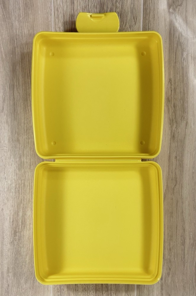 Tupperware SPONGEBOB SQUAREPANTS Sandwich Keeper Gary Pineapple 2007 EUC