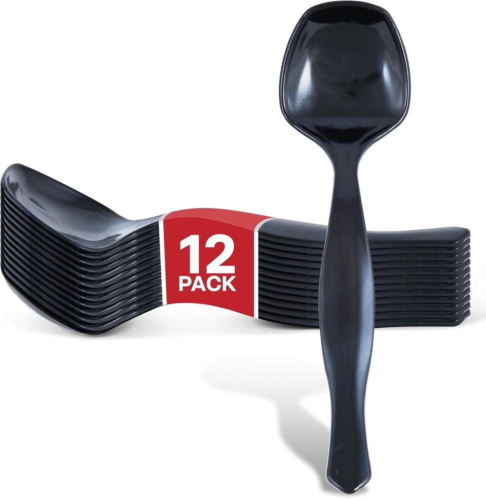 12 Count Disposable Serving Spoons, Black Plastic Spoons for