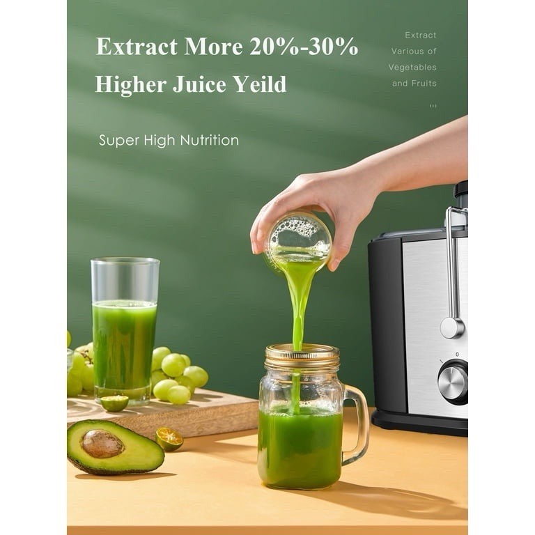 Juilist Juice Extractor Model GS-336 (B13, R2, 2)