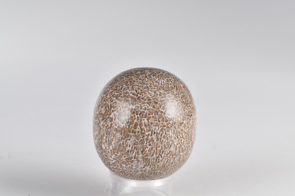 Dinosaur Bone Sphere from Morocco 4.3 cm # 21232