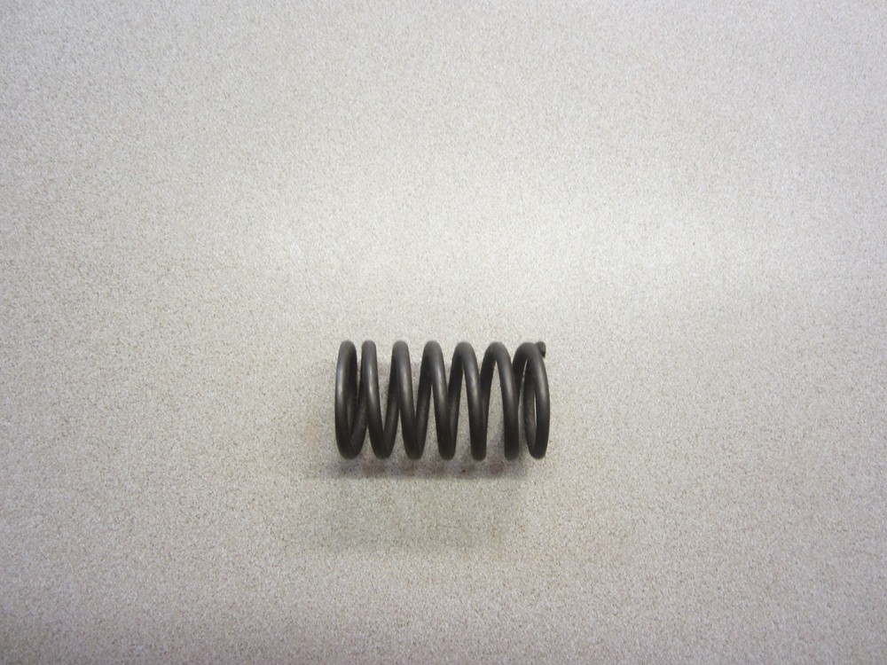 Case K921435 Valve Spring