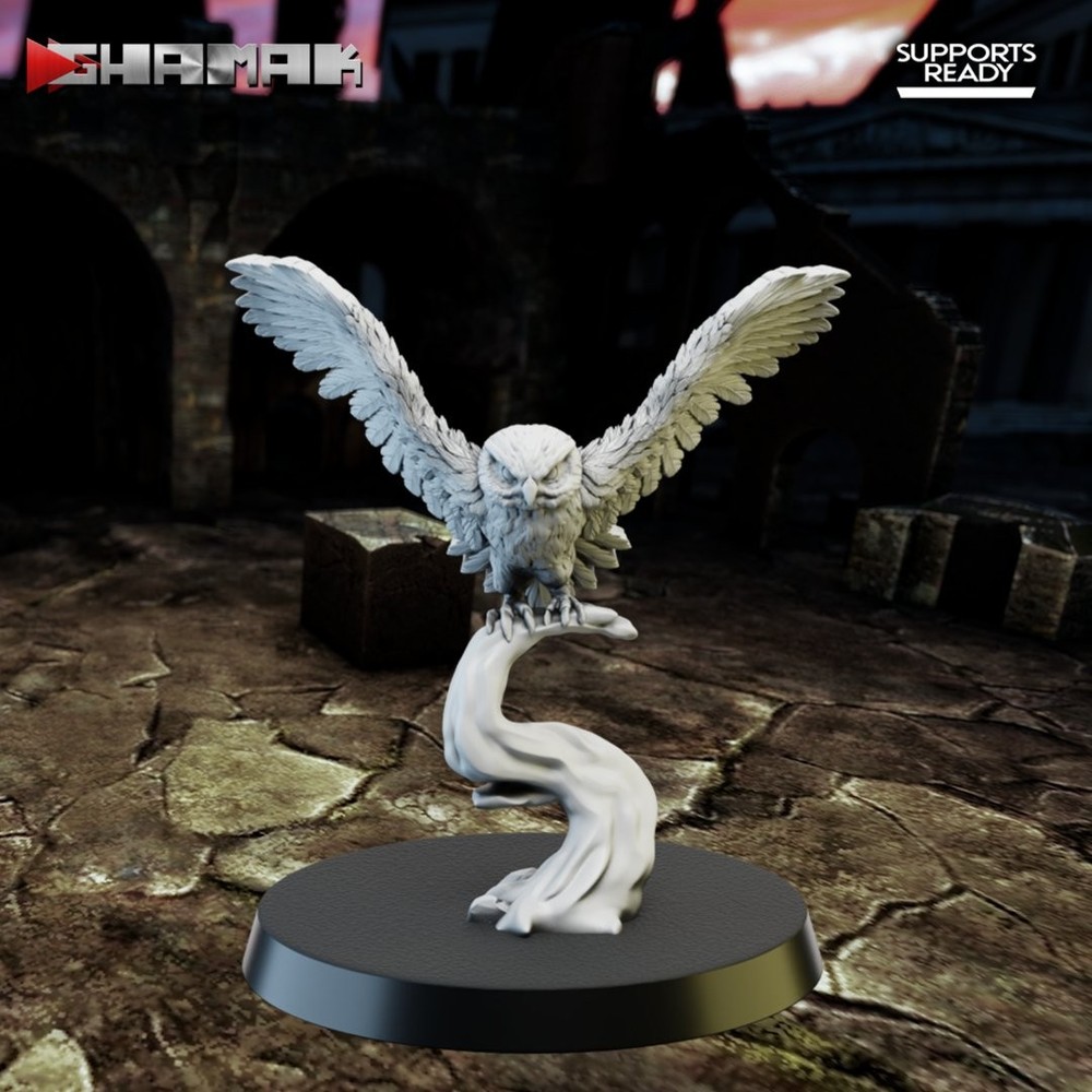 ANIMALS - SPARTANCAST OWLS PACK (5U)