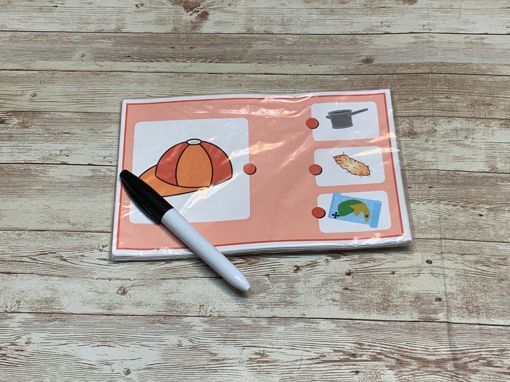Write & Wipe Activity Set - Rhyming Matching Pictures