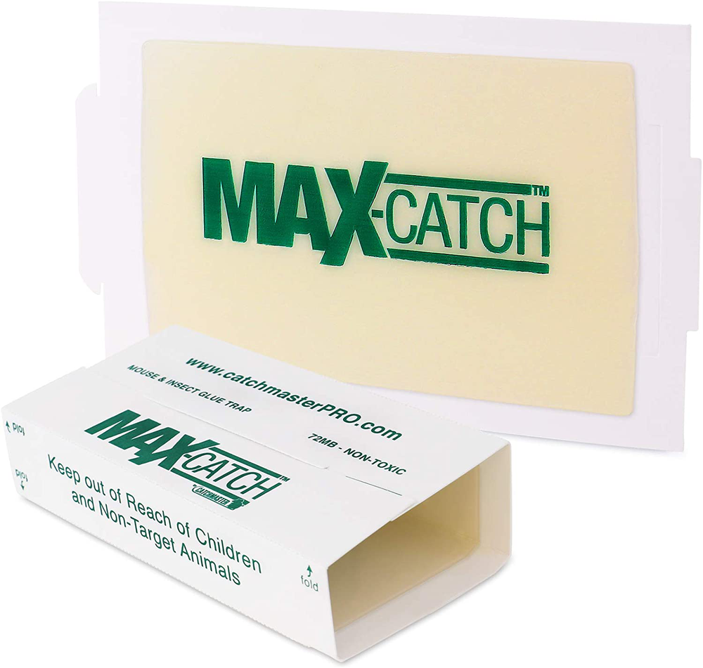 Catchmaster AA1170 72MAX Pest Trap, Max-Catch 72 Pack, White