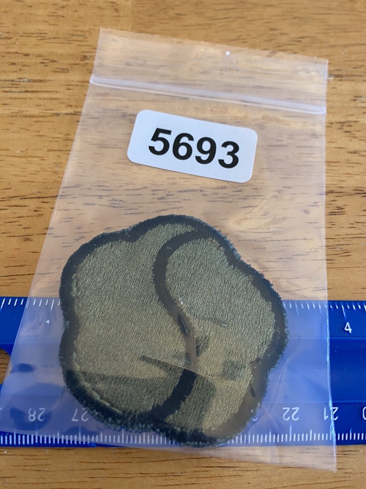 US Army 19th Support Brigade Subdued Patch INV5693