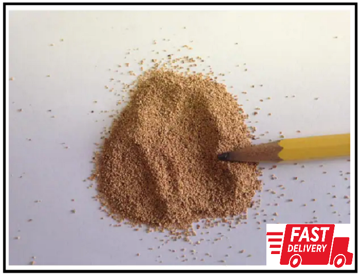 Fine Grit Walnut Shell Sandblasting Media - 10 lb. Box for Effective Cleaning