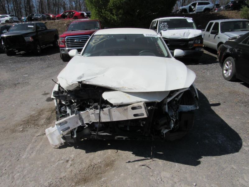 ALTIMA 2019 Glove Box 955412