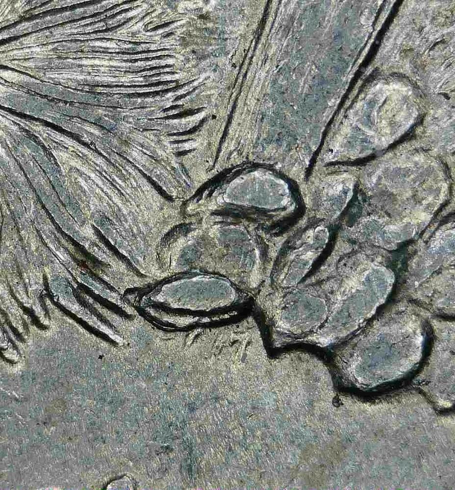 Extra Cactus Leaf Die Chip Error - 2008 Arizona State Quarter