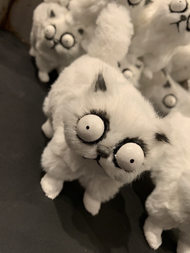 mr whiskers
