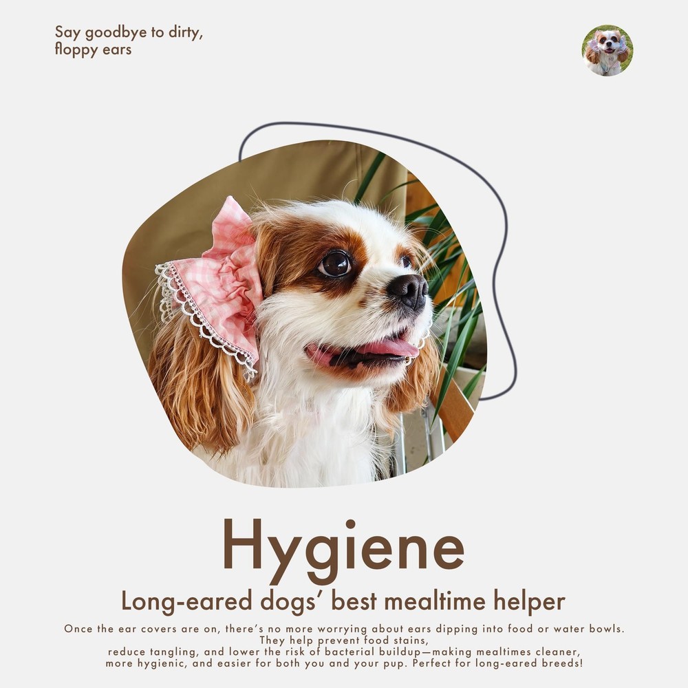 Soft Cotton Dog Headband for Cocker Spaniel, Cavalier, Springer - Adjustable ...