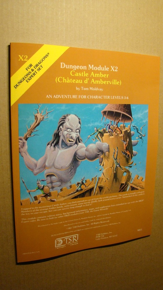 DUNGEONS DRAGONS - MODULE - X2 *NEW MINT NEW* CASTLE AMBER CHATEAU d'AMBERVILLE