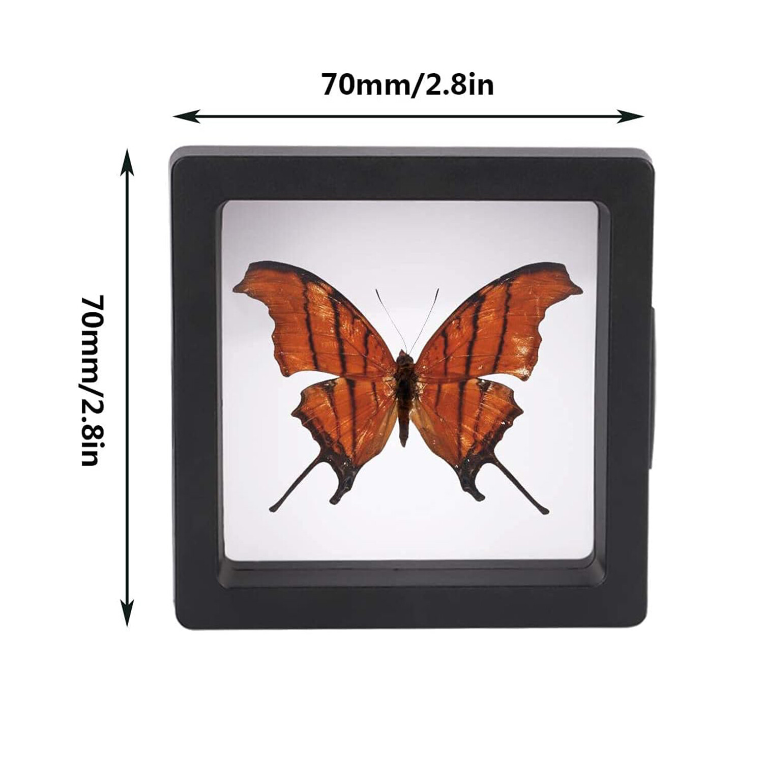 30 3D Floating Case Box Coin Display Frame Stand Holder Jewelry Specimen Collect