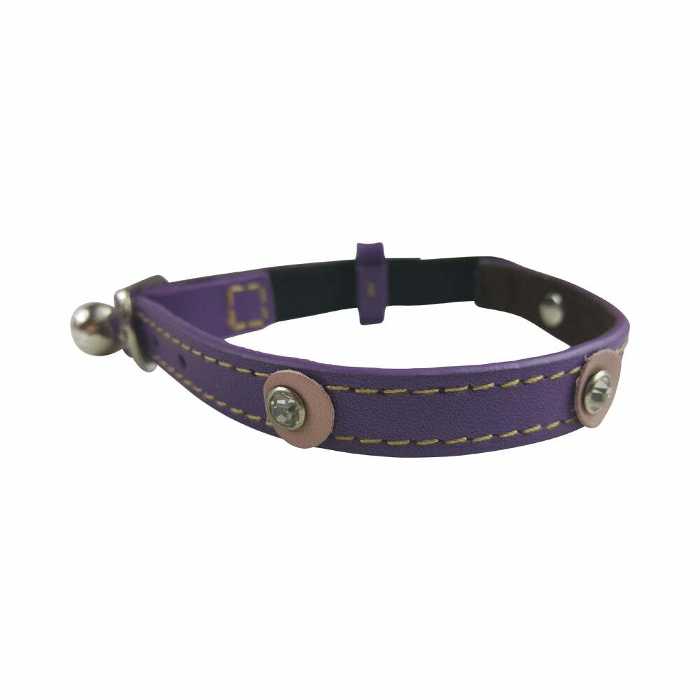 Moet Purple Cat Collar