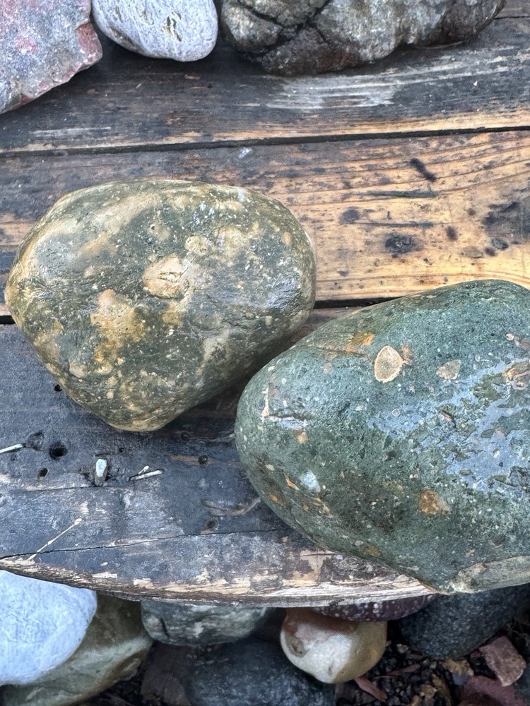 Lapidary Rocks 3.6 Lbs