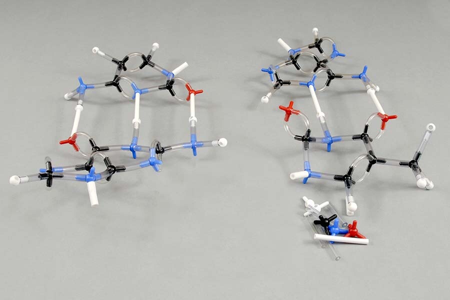 Nucleic Acid Bases Molecule / Molecular Model Kit (154 Pcs), Ryler Super Models