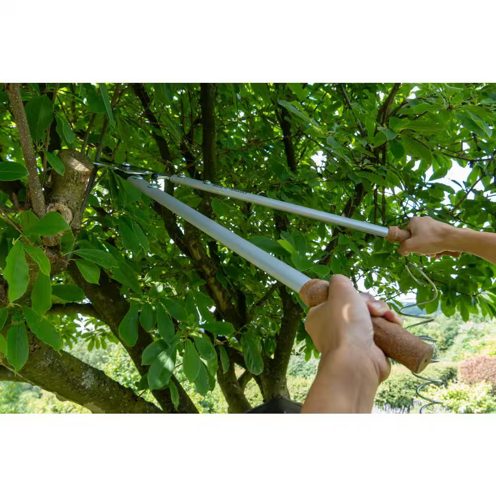 5 In. Lopper Shears, Bypass with Cork Handles