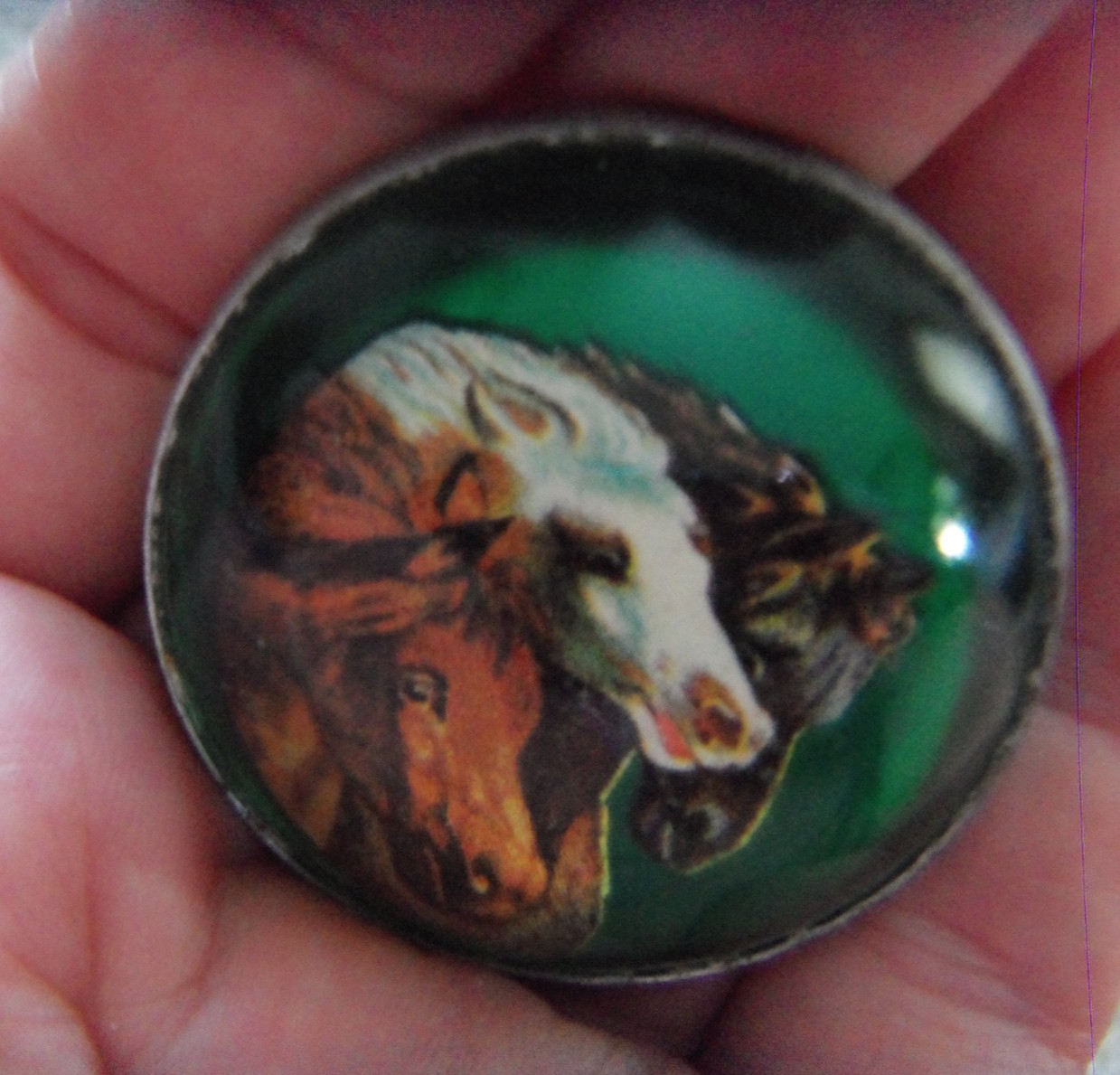 Vintage Glass Domed HORSE BRIDLE ROSETTES Equestrian Decorative Chapman MINN