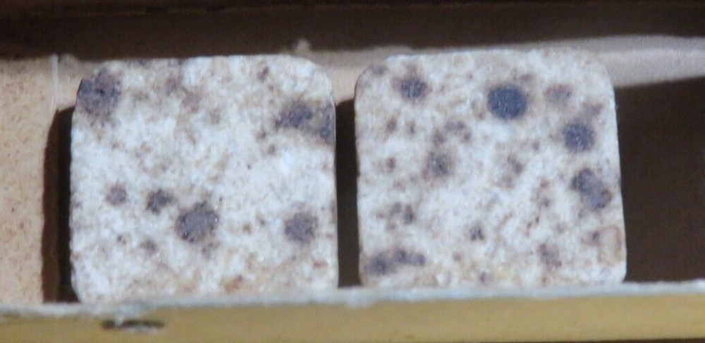 WWII US ARMY MALTED MILK / DEXTROSE TABLETS FROM K RATION CURTISS CANDY CO