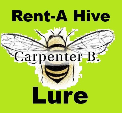 Carpenter bee. Attractant Super Lure - 2026 Works in the rain Keeps scent longer