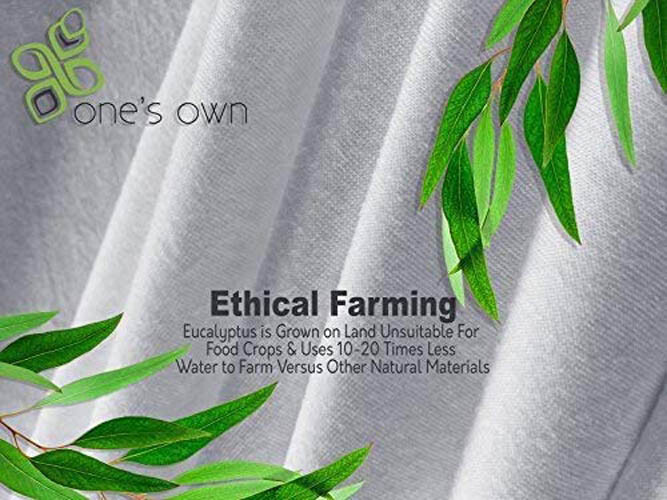Full/Double Size Premium Hypoallergenic Eucalyptus Waterproof Mattress Protector