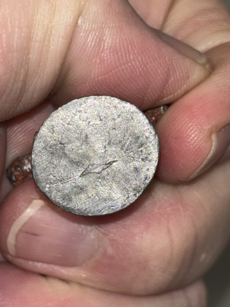 Dungeons And Dragons Shambling Mound