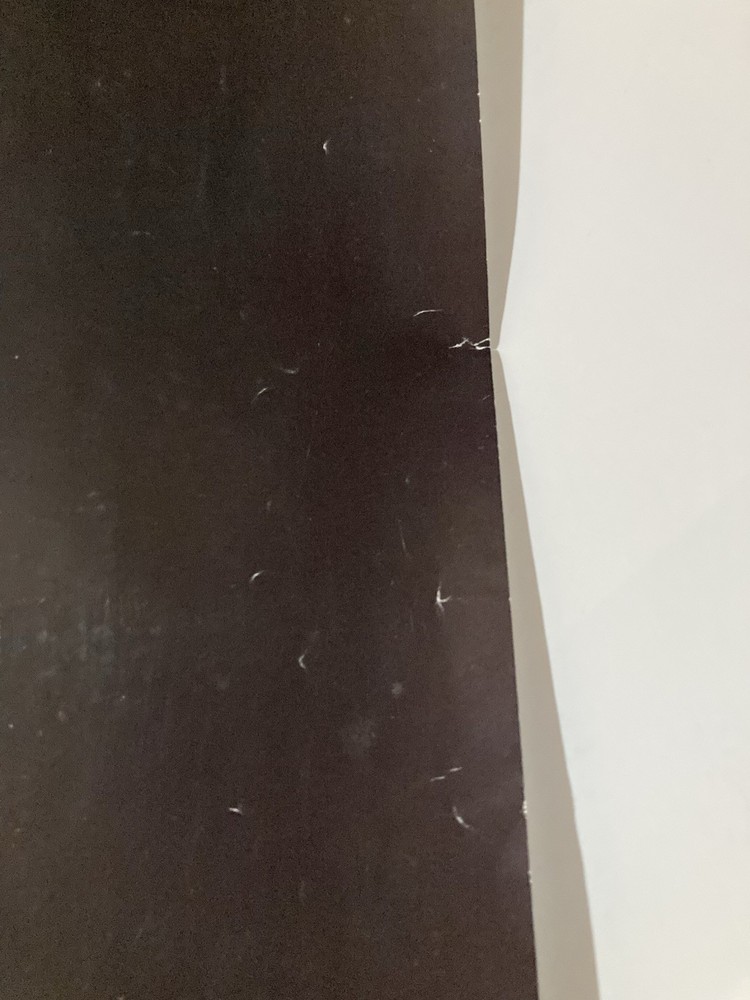 Lenny Kravitz 1989 Promo Poster Let Love Rule C