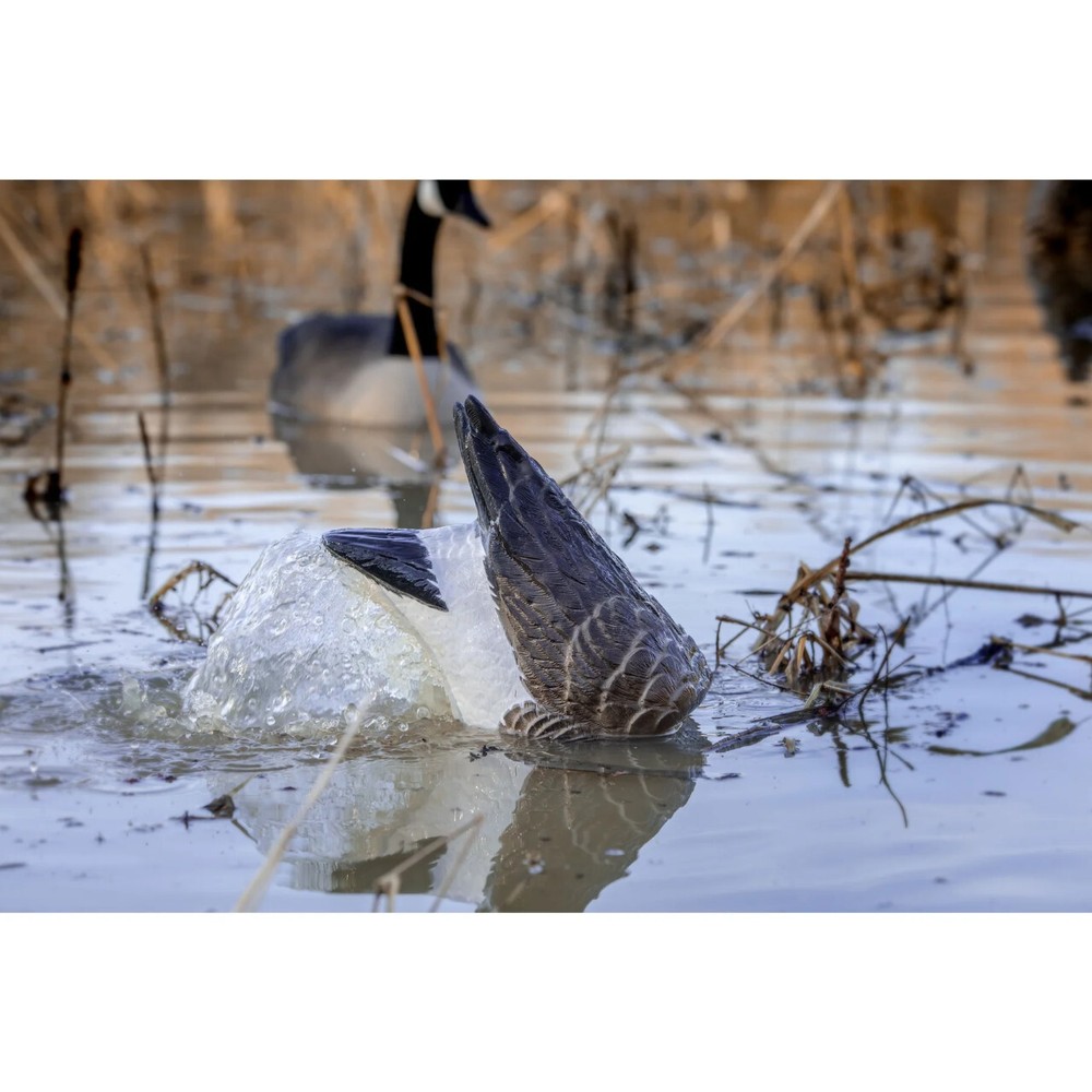 Higdon Pulsator PRO Canada Goose