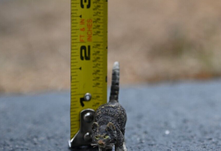 Small Antique Cold Painted Austrian Vienna Solid Bronze Cat