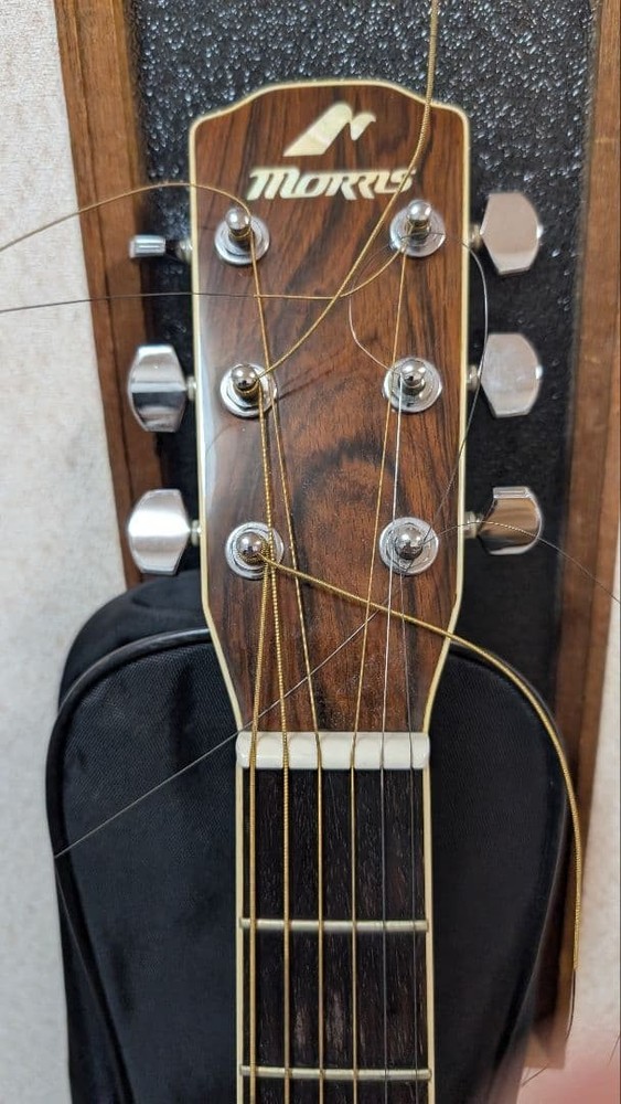 Morris M601 Japanese String Instrument with Case