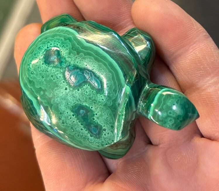 2” Malachite Turtle