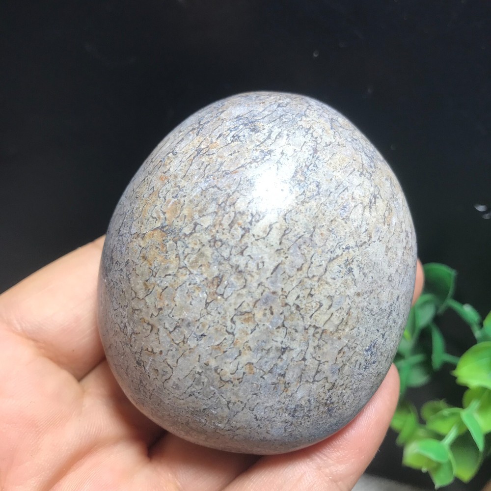 148g polished dinosaur bone specimen Madagascar 10